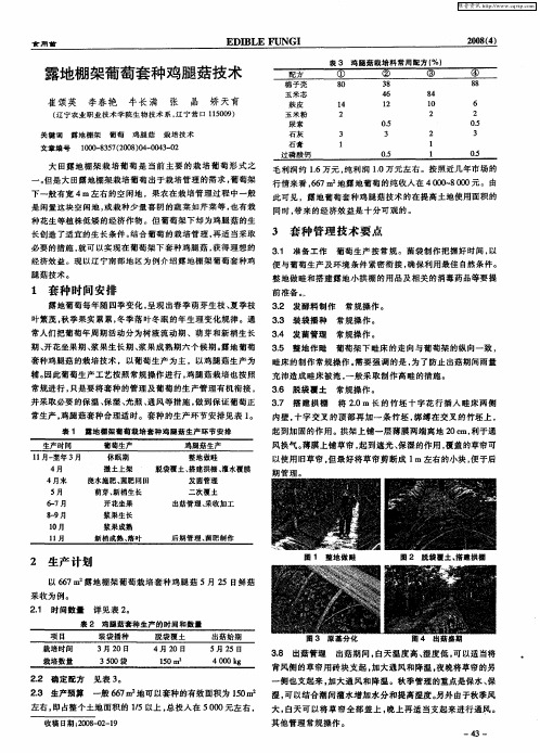 露地棚架葡萄套种鸡腿菇技术