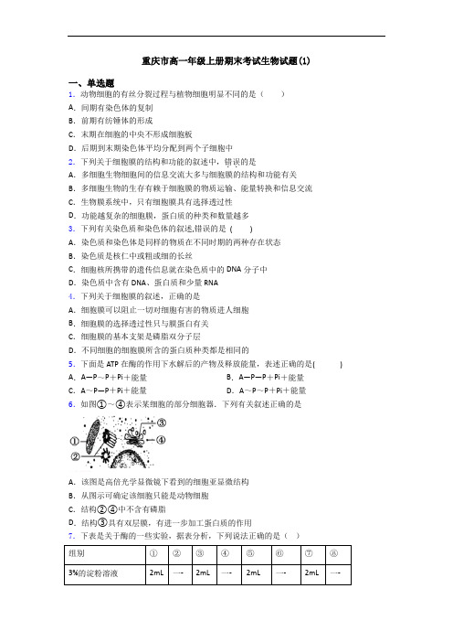 重庆市高一年级上册期末考试生物试题(1)