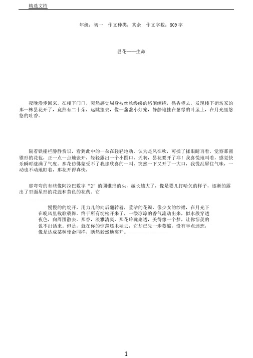 昙花——生命作文【初中初一800字】