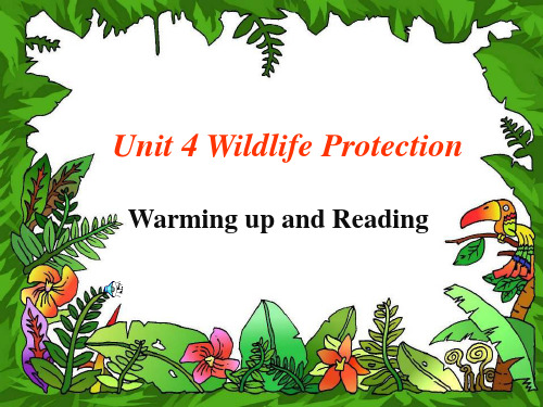 高中英语必修2第4单元-Wildlife Protection 定稿