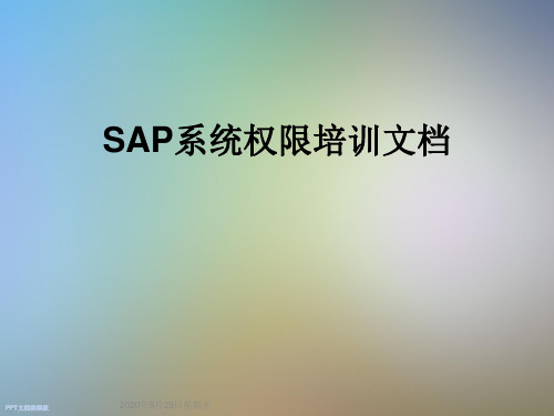 SAP系统权限培训文档