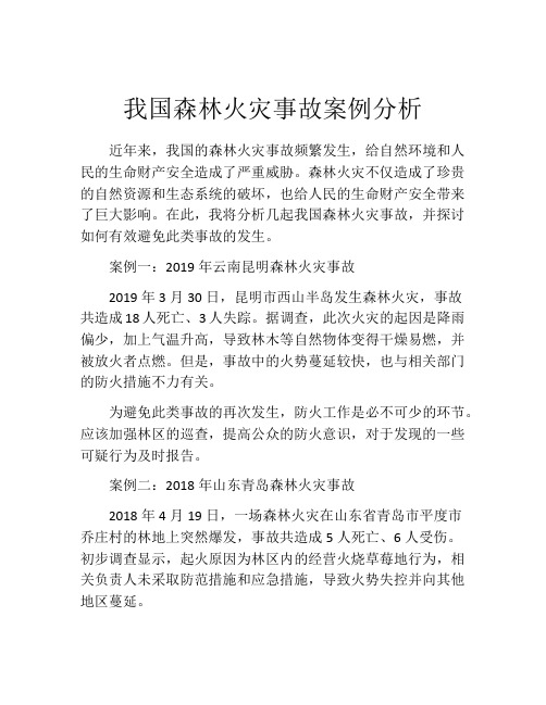 我国森林火灾事故案例分析