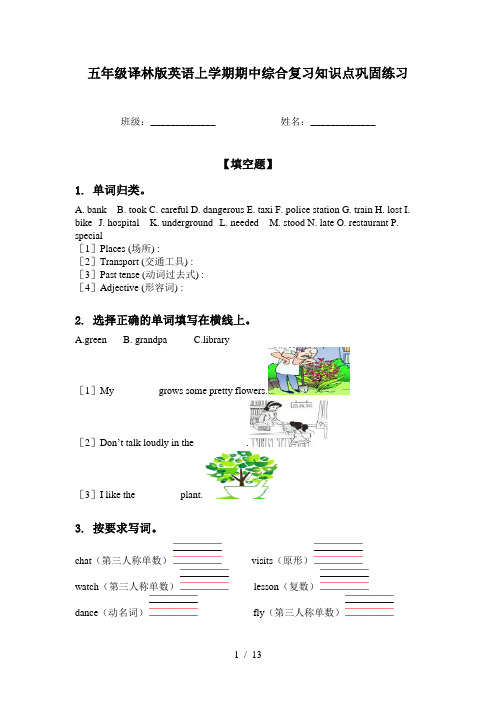 五年级译林版英语上学期期中综合复习知识点巩固练习