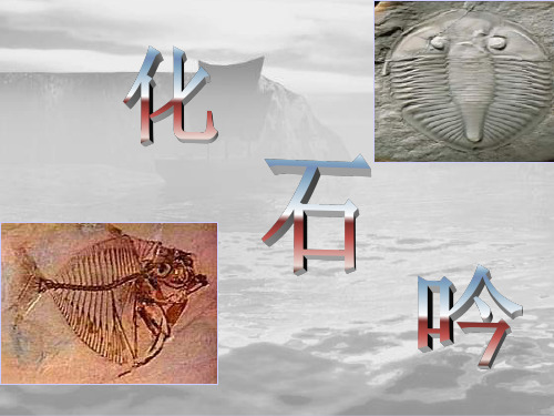 化石吟99 人教版 (共29张)PPT课件