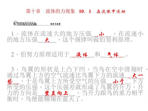 2015春四清导航八年级物理下册教科全章教学课件第十章流体的力现象共47张