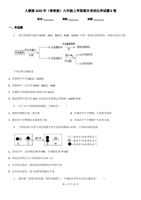 人教版2020年(春秋版)九年级上学期期末考试化学试题D卷精编