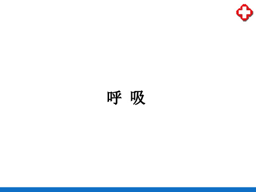 呼吸—肺通气(生理学课件)