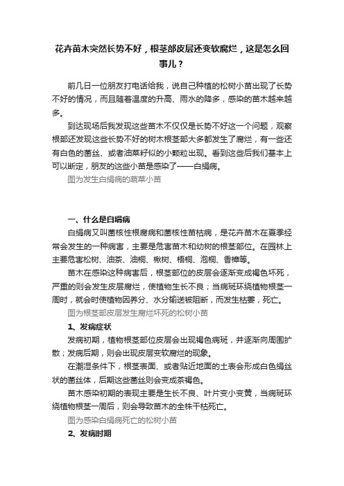 花卉苗木突然长势不好，根茎部皮层还变软腐烂，这是怎么回事儿？