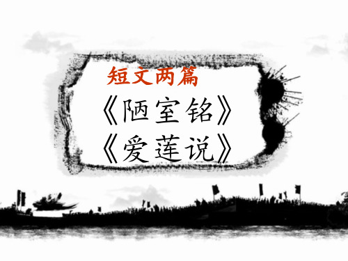 人教部编版八年级上册第11课《短文两篇》课件(共27张PPT)