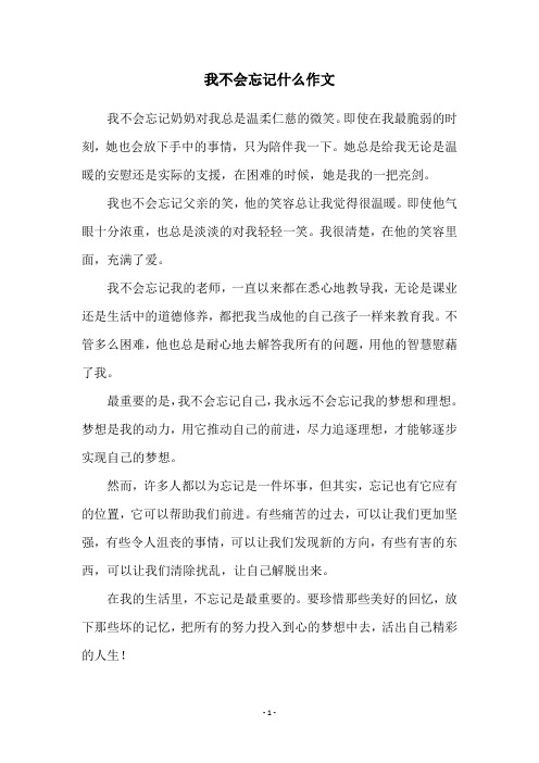 我不会忘记什么作文