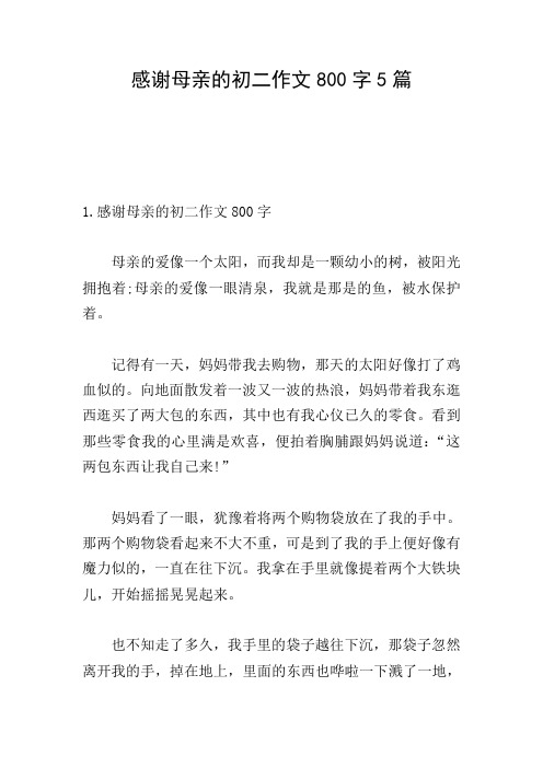 感谢母亲的初二作文800字5篇