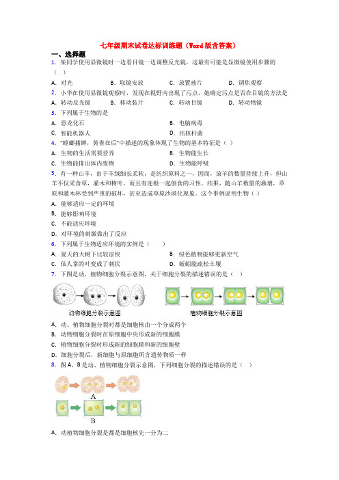 七年级期末试卷达标训练题(Word版含答案)