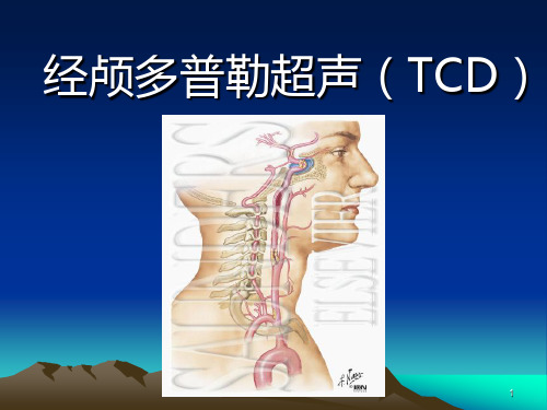 经颅多普勒超声(TCD)PPT课件