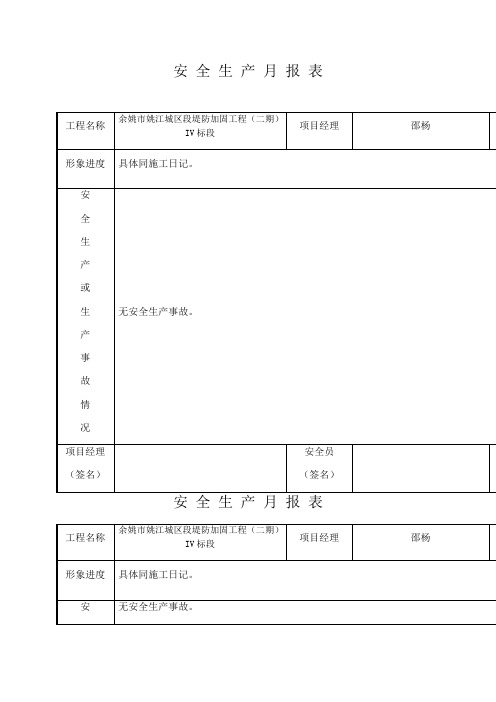 安 全 生 产 月 报 表