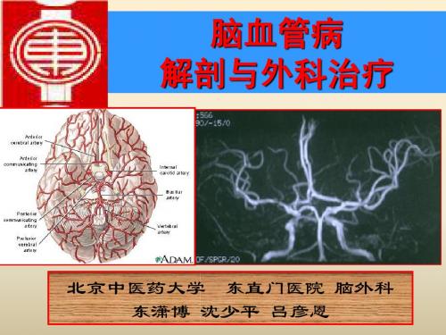 脑血管病解剖与外科治疗