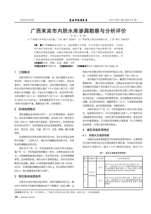 广西来宾市内胆水库渗漏勘察与分析评价