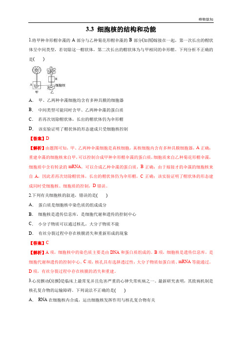 高中生物第一册 3 3 细胞核的结构和功能 练习(含答案)