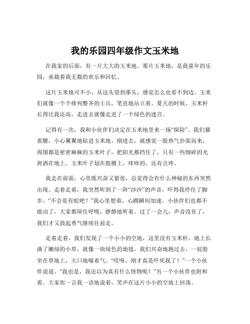 我的乐园四年级作文玉米地