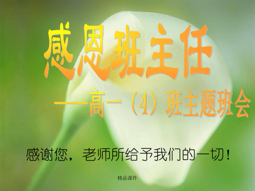 教师节班会(精编课件).ppt