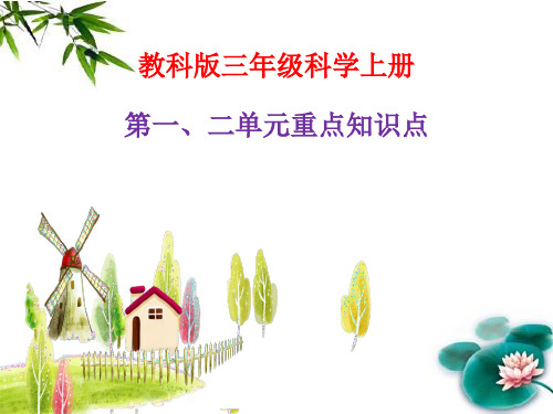 教科版三年级科学上册期中重点复习资料课件