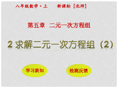 八年级数学上册 5 二元一次方程组 2 求解二元一次方程