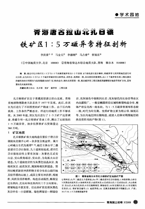 青海唐古拉山北扎日根铁矿区1：5万磁异常特征剖析