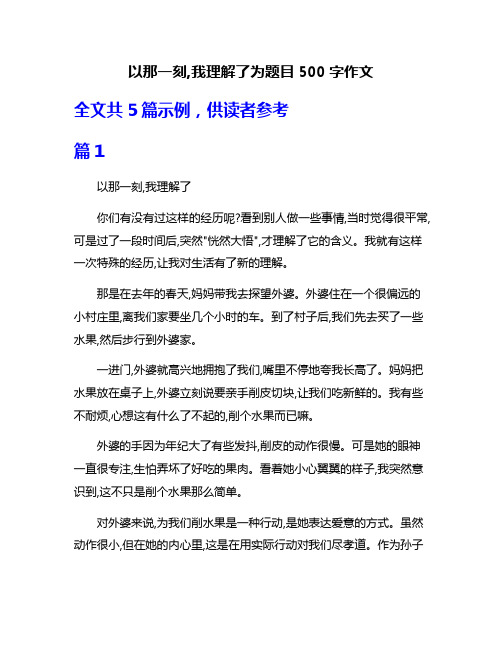 以那一刻,我理解了为题目500字作文