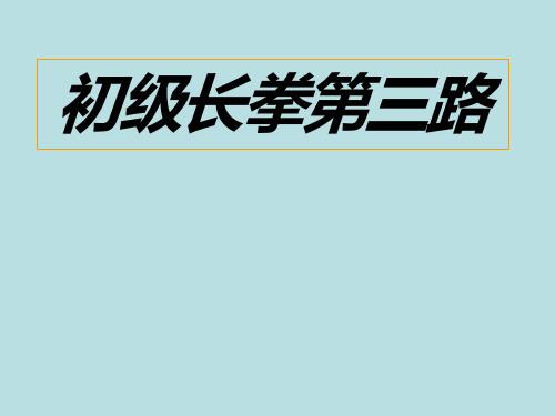 体育与健康《武术初级长拳第三路》课件设计(说课试讲可用)