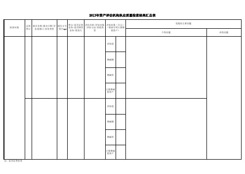 2013年检查结果汇总表