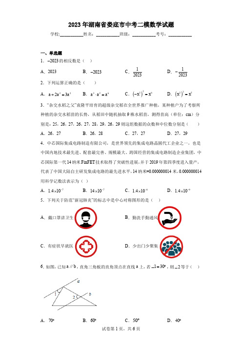 2023年湖南省娄底市中考二模数学试题