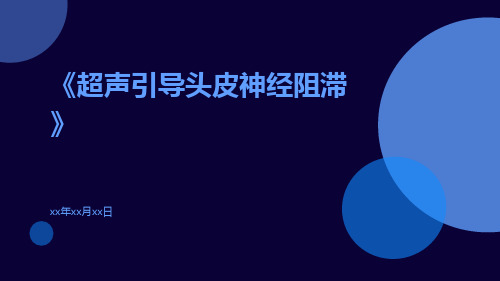 超声引导头皮神经阻滞