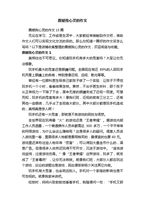 震撼我心灵的作文