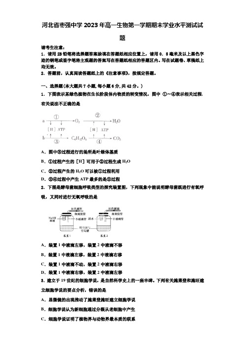 河北省枣强中学2023年高一生物第一学期期末学业水平测试试题含解析