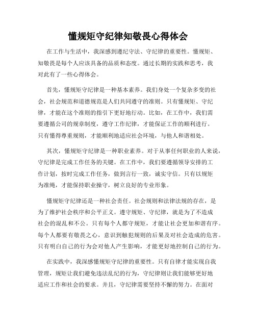 懂规矩守纪律知敬畏心得体会