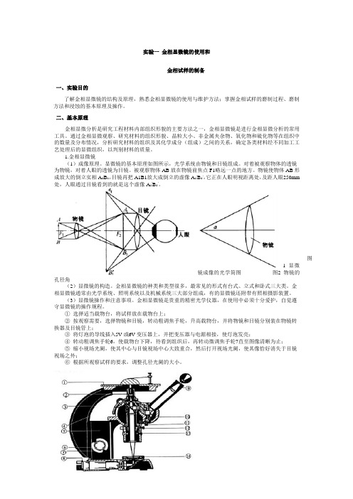 金相显微镜的使用