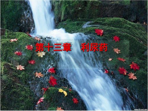 第二十二章 w-利尿药和脱水药
