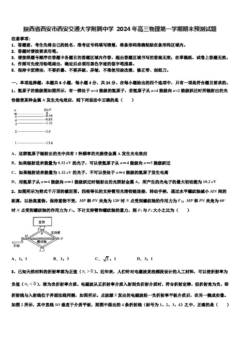 陕西省西安市西安交通大学附属中学 2024年高三物理第一学期期末预测试题含解析