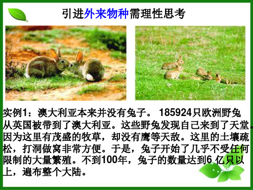 种群的数量波动及调节PPT课件1 浙教版