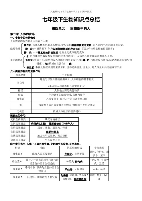 (人教版)七年级下生物知识点总结(附带图片)