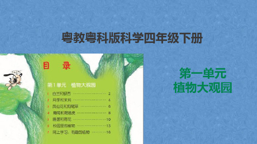 粤教版科学四年级下册第一单元《植物大观园》课件