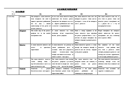 企业成熟度及流程成熟度模型