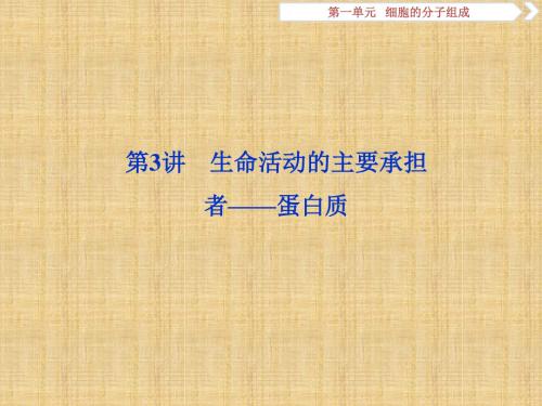 高考生物一轮复习第一单元细胞的分子组成第3讲生命活动的主要承担者__蛋白质名师课件