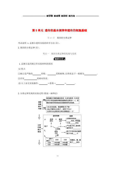 高考生物一轮复习 第5单元 遗传的基本规律和遗传的细胞基础听课学案