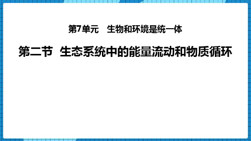 苏教版八年级上册生物《生态系统中的能量流动和物质循环》PPT学习课件