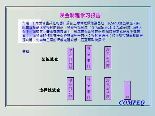 浸金制程学习报告 教学PPT课件