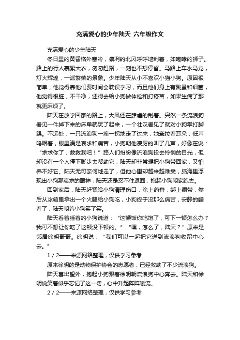 充满爱心的少年陆天_六年级作文