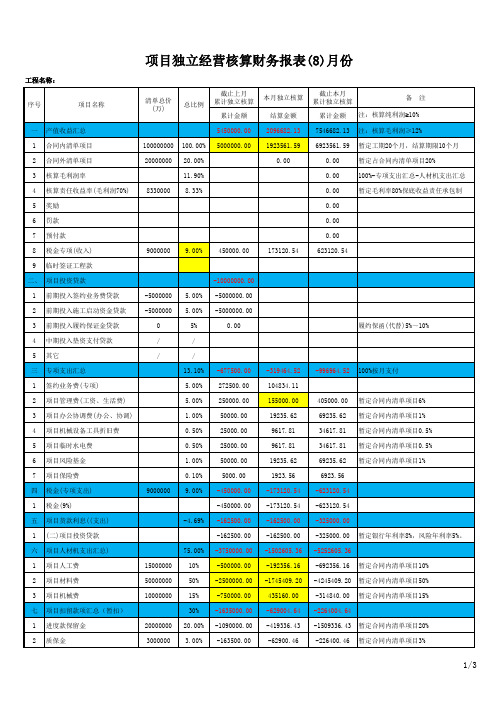 项目独立经营核算财务报表