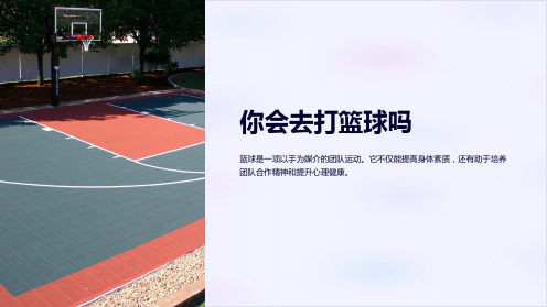 Are you going to play basketball课件