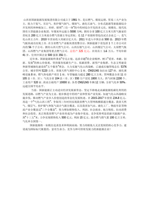 山西省国新能源发展集团有限公司简介