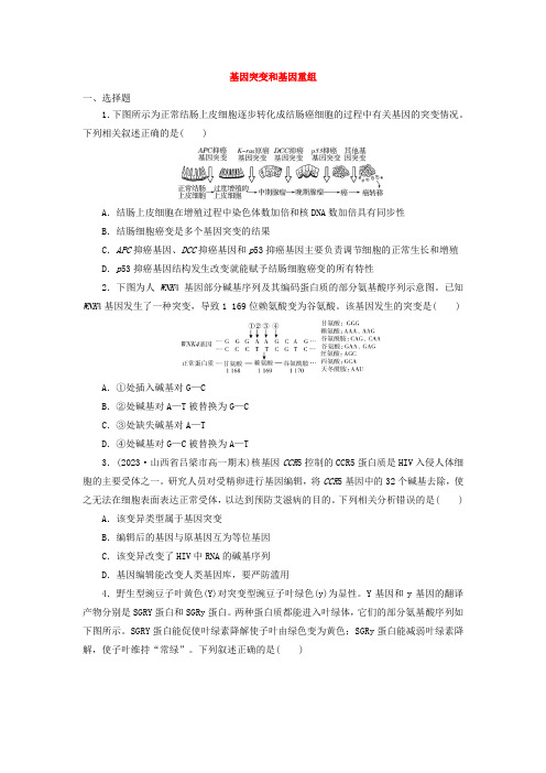 【生物】基因突变和基因重组练习卷-2023-2024学年高一下学期生物人教版必修二